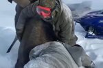 Браконьеры / скриншот из видео