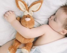 Загублений заєць "поставив на вуха" весь Сідней