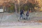 Чоловік б'є собаку / скріншот з відео