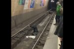 Скрін, відео YouTube