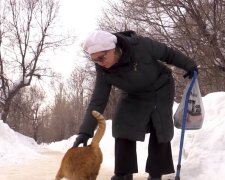 Пенсионерка / скриншот из видео