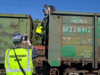 "Заяц" в вагоне с углем, фото: kp