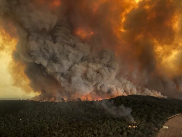 пожары в Австралии, фото: Politinfo