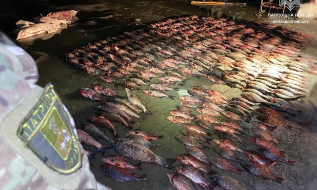 незаконный лов рыбы