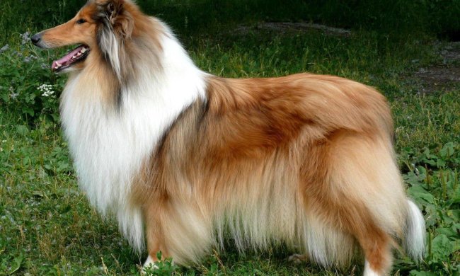 Анекдоты на 12 июня рассмешат даже самых грустных