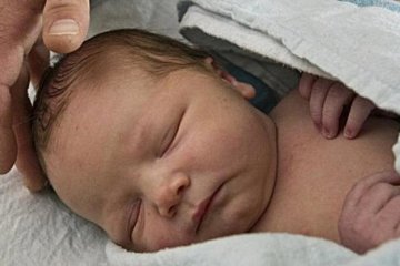 Пологи чергової школярки поставили на вуха Україну