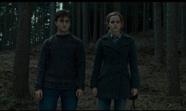 Гаррі Поттер / кадр з фільму