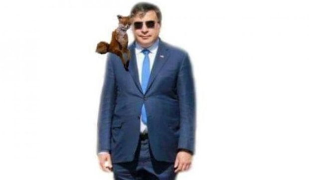 Саакашвили развеселил интернет своими брюками (фотожабы)
