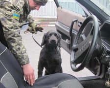 Чоловік сховав від прикордонників зброю у різних частинах авто (фото, відео)