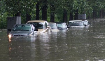 В сети появились фото тернопольской Венеции