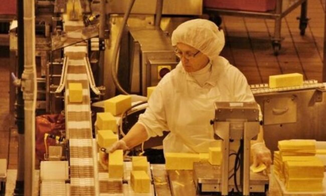 Каждый четвертый сыр в России фальсифицированный