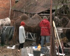 фото: Суспільне Харків