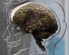 Учені пояснили походження дежавю