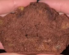 Шоколадні кекси на смак як мішки Барні: фото скрін рецепту