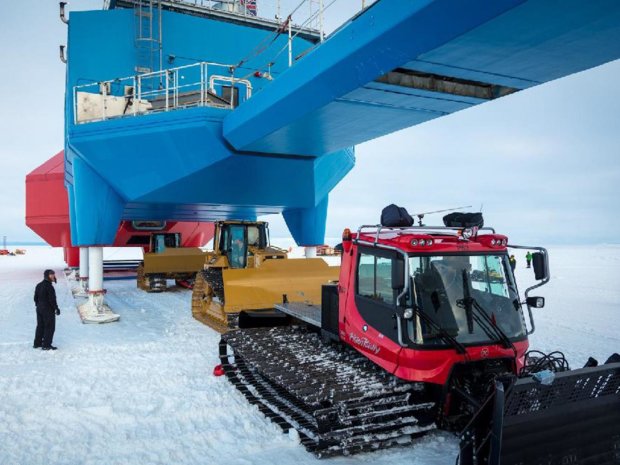 В Антарктиді розігралася дика трагедія: трупи вчених знайшов пілот