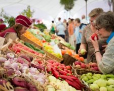 Прожиточный минимум и ценовой максимум: смогут ли украинцы выжить после новой реформы