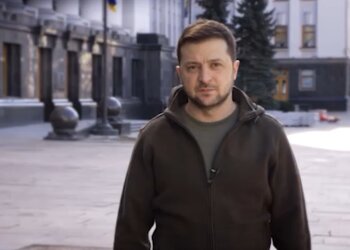 Владимир Зеленский, скриншот