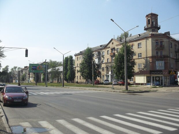 По Харькове разгуливает рыжая бестия, будьте осторожны: "Агрессивна, рычит и шипит"