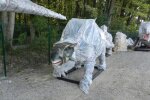 Закарпаття окупували полчища динозаврів - українці готуються до " Парку юрського періоду"