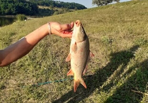 Маленька рибачка з Дніпра змусила дорослих ахнути від заздрості – такий улов їм і не снився