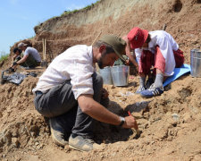 Пришли на водопой: археологи наткнулись на десятки древнейших монстров