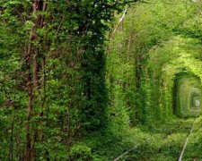 Український "Тунель кохання" здобув світову славу