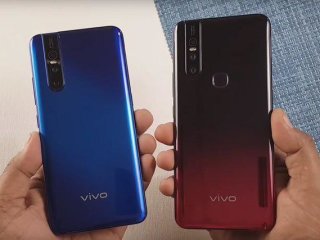 Vivo