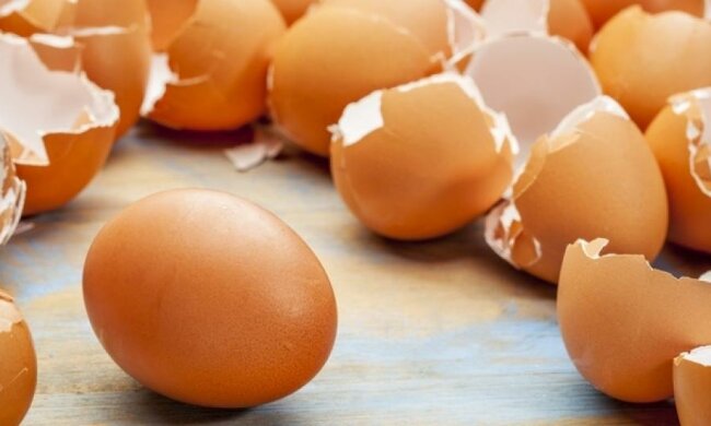 Яєчна шкаралупа загоює рани