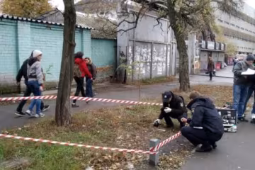"Страшно выйти из дома": стаи бродячих кусак терроризируют горожан, - о первых жертвах говорят шепотом