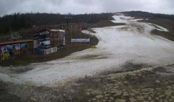 На Закарпатті пройшли лижні змагання без снігу (фото)