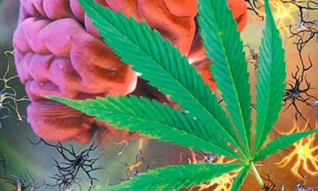 Конопля убивает полет фантазии