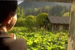 Скрін, відео YouTube