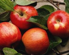 Курс на осінь: 5 продуктів проти нудьги