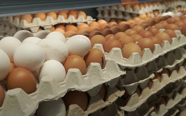 Ціни на яйця. Фото: скрін youtube