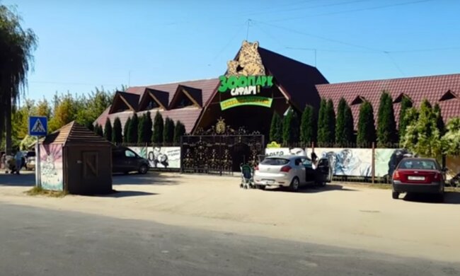 зоопарк "Сафари", скриншот из видео