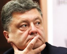 Порошенко подсчитал убытки от "национализации" боевиков