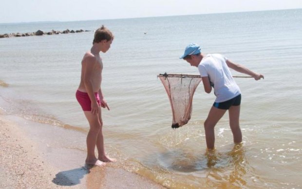 Купол зі щупальцями та жалом: небезпечні істоти відвойовують пляжі Азовського моря