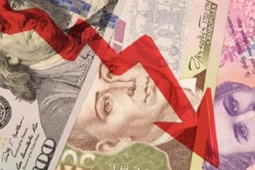 У Гонтаревої пояснили обвал гривні