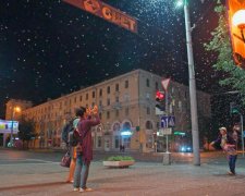 Це треба бачити: метелики атакували білоруське місто, шокуюче відео