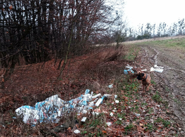 Мусорную поляну под Львовом показали адскими фото: "Унитазы, стулья и бутылки вместо грибов"