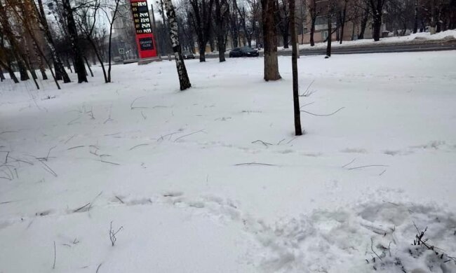 В Хмельницком нелюди безжалостно убивают малышей: пичкают "обед" иголками