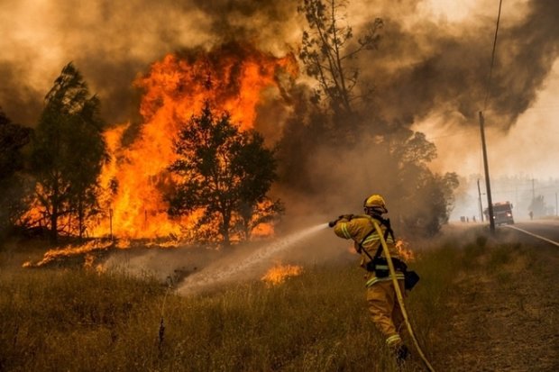 Почти месяц пламя уничтожало все вокруг: крупнейший в истории пожар наконец уступил, спасатели не расслабляются