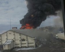 Пожежа у Василькові спровокувала паніку (фото, відео)