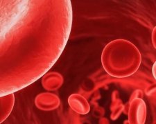 Названі основні продукти для підвищення гемоглобіну