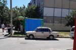 По сусідству з харків'янами оселилася зграя скажених мух