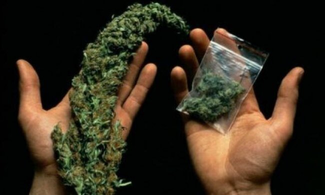 На Тернопольщине задержали наркоторговца (видео)