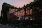 У Києві відзначать 70-ту річницю Дня незалежності Ізраїлю
