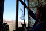 Борьба с мухами: фото скрин Ютуб