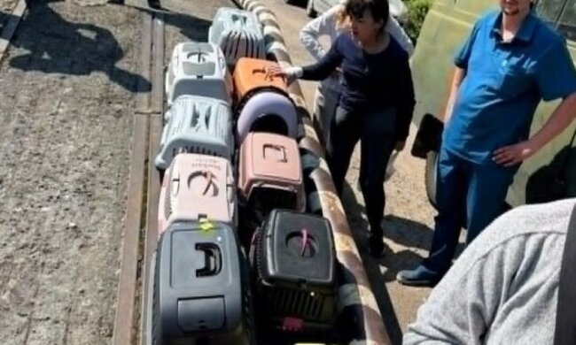 Модульне містечко для постраждалих від ракетного удару у Львові