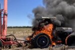 Мышиная чума, фото: 7news.com.au